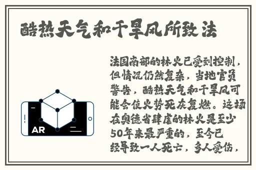 久久六久亚麻袜五指袜